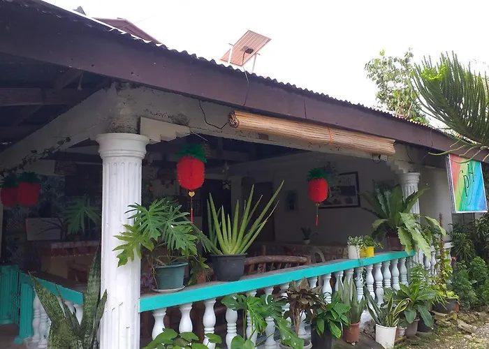 Paraiso 몰볼
