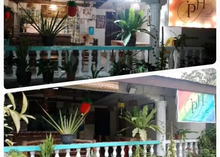 Paraiso 호스텔 몰볼
